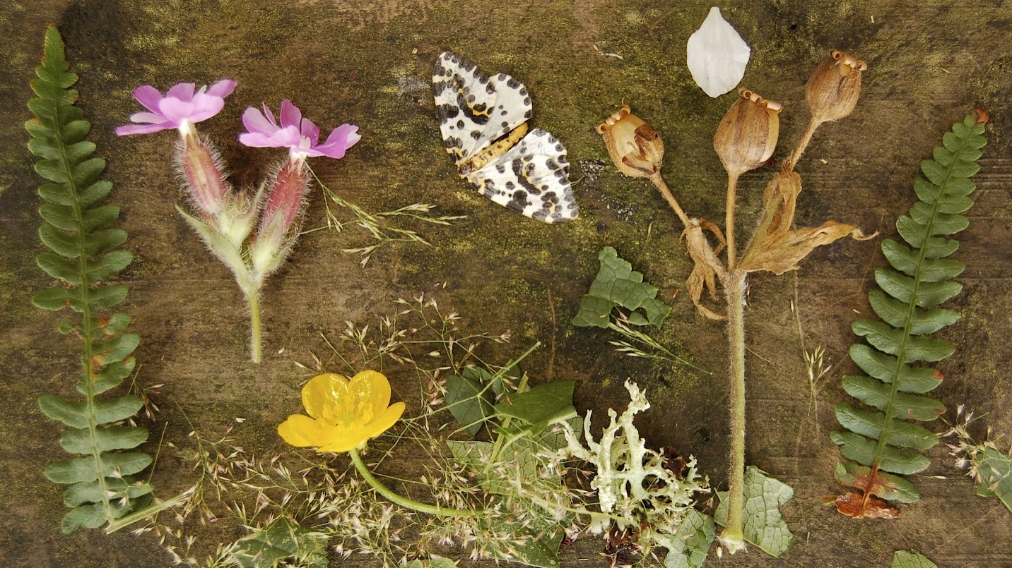 Fairy Table from 2007