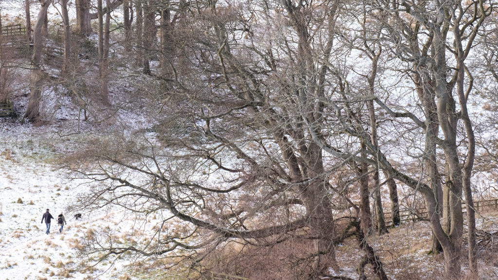 20160117-DSCF3588