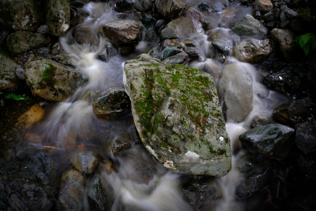 A rock in the stream (hand held)