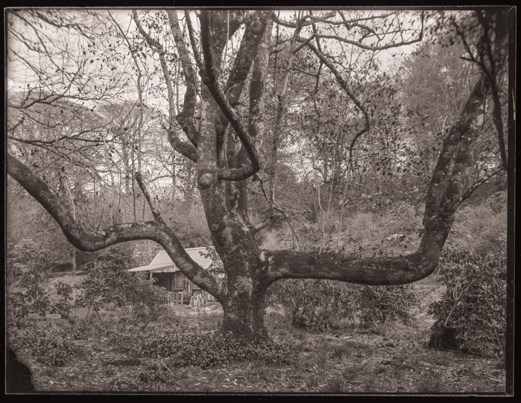 Brennan's Hut at Larachmhor Garden